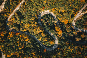 Winding road trough a forest in ther middle of autumn