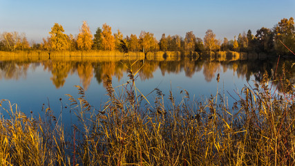Beautiful view near Aholming-Bavaria-Germany