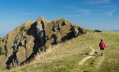 nice senior woman, hiking in fall, autumn  on the ridge of the Nagelfluh chain near Oberstaufen,...