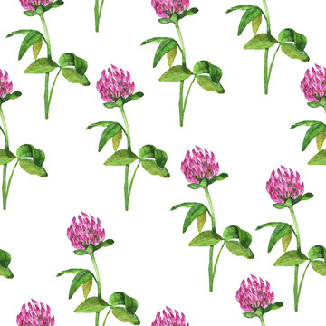Seamless pattern with lilac clover flowers on white background. Hand drawn watercolor illustration.