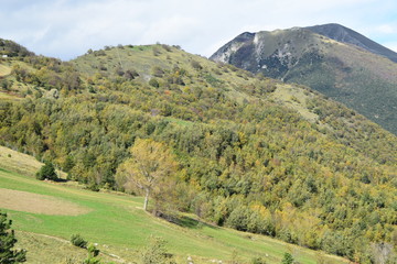 montagna 