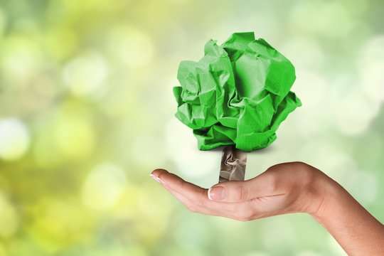 Woman hand holding green tree model