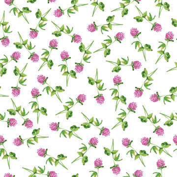 Seamless pattern with clover flowers on white background. Hand drawn watercolor illustration.