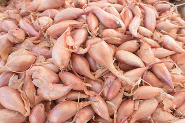 échalottes bio  © Image'in