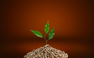Fototapeta na wymiar Pellet fuel with a plant growing out