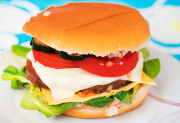Homemade hamburger with beef, melted cheese and tomato.