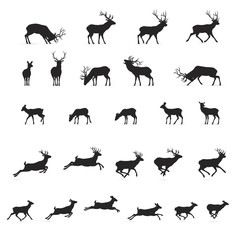 Deer Silhouettes