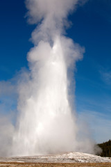 old faithful geyser in yellowstone