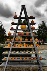 Pumpkin Pyramid