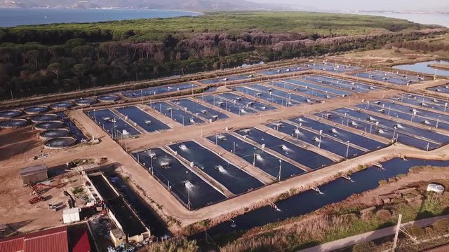 Aerial view from above of a fish breeding farm with his geometric design tanks