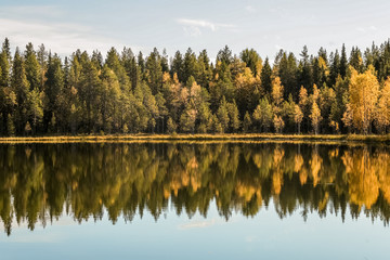 The Pinega River. Golden autumn in the Russian North.