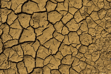 Dürre rissige Erde
