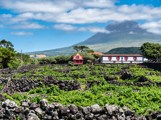 Image of mountain pico with houses and vineyard on the island of pico azores - obrazy, fototapety, plakaty