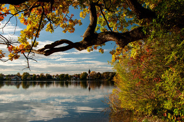 Autumn at Westlingersee  Germany
