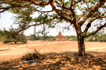 Early morning view over the temples of Bagan, a historical site in Myanmar
