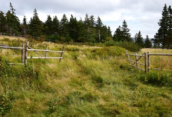 Killick Coast along Father Troy`s Path, Autumn pasture landscape, East coast trail near Torbay; Avalon Peninsula Newfoundland Canada 