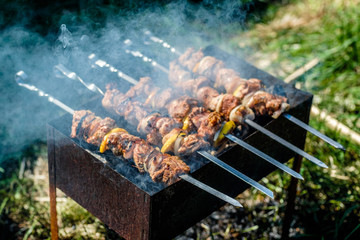 Cooking meat on the fire. Shish kebab on the grill