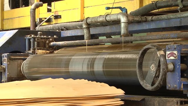 Production technology of plywood at the plant. Prepared veneer sheets. Furniture factory. Production of plywood. The machine for putting glue on an interline interval.