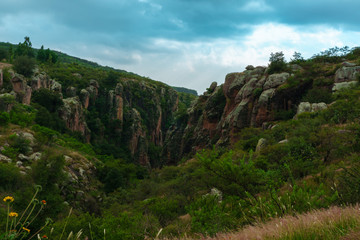 landscape of mountains full of green trees and a blue sky