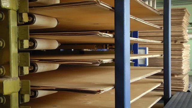 Prepared veneer sheets. Furniture factory. Production of plywood. Automated production of plywood sheets. Stage plywood assembly. Hot steam press for plywood.