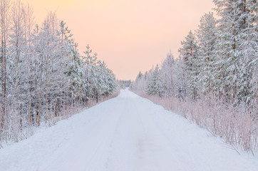 Obraz premium Winter Lapland landscape