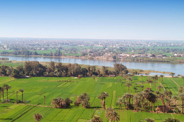 The agriculture in Egypt is concentrated in the Nile river valley, here in the region of El Minyah,...