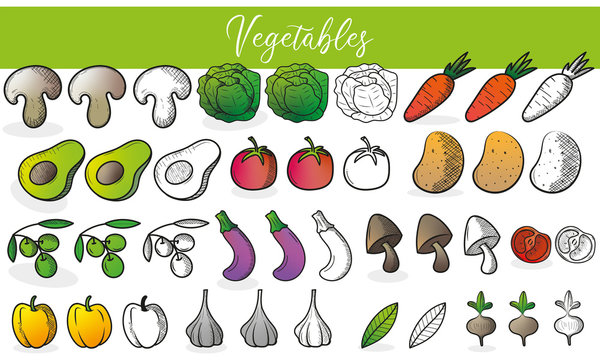 Légumes vectorisés - illustrations - couleur - croquis - santé - régime