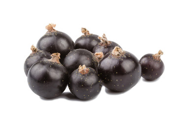 Black currant on white background