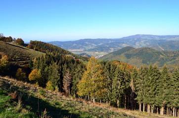 Fototapeta na wymiar Hinterwaldkopf im Herbst