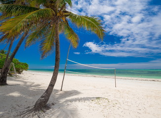 Zanzibar, landscape sea, palms beach