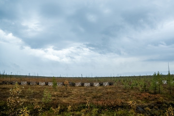 Fototapeta na wymiar Tundra. Shield barriers