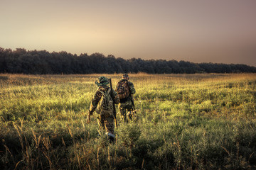 Hunters with hunting equipment going away through rural field towards forest at sunset during...