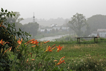 Fototapete bei efototapeten.de bestellen   