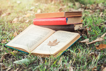 Book and sycamore leaf in nature