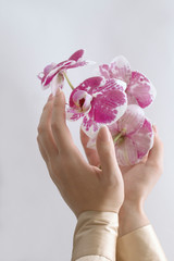 Beautiful elegant woman's hands with orchid flower on light background. Graceful hands with french manicure. Manicure, skin care, cream for hands, cosmetics. 