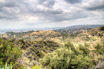 Fototapeta na wymiar View over the green hills near Hollywood surrounding Los Angeles in the USA 