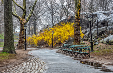 Central Park, New York City in spring