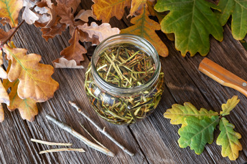 Preparation of a homemade herbal tincture from oak bark