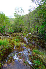 Natural place of the birth of the Mundo River, Albacete, Spain.