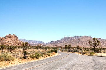 Joshua Tree National Park with its typical trees and rock formations near Palm Springs in the California desert in the USA
