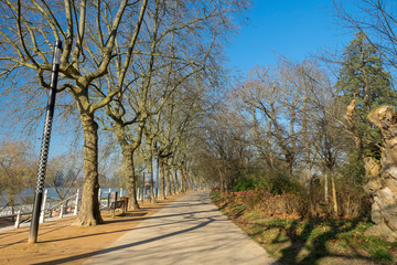 Ville de Vichy dans l'Allier. Chemin thermal sous les platanes le long des berges de l'Allier et le  Parc Napoléon III