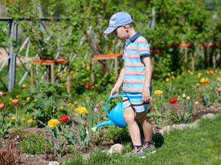 European boy with the blue watering can is helping to water the flowers in the croft. © Artem