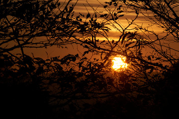 Sonnenuntergang in Wien
