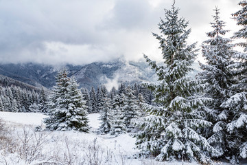 Winter mountain landscape in  Tatras. Slovakia.