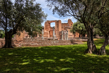 resti di un'antica villa romana in mezzo a ulivi secolari