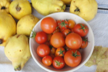 Tomaten,tomaten, geschmack, lagern, tomatenpflanzen, lycopin, gesund warenkunde, kalorien, ente,...