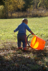 Little Baby in Nature