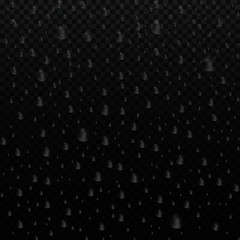 Vector realistic water drops condensed on black background. Macro aqua bubbles isolated on glass. Rain droplets without shadows for transparent surface. 