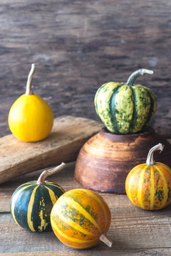 Variety of ornamental pumpkins
