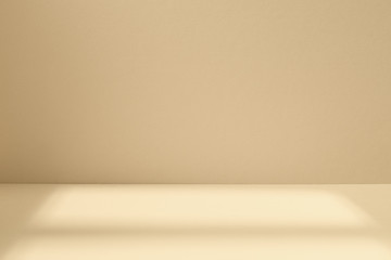 Light studio space with window shadow
